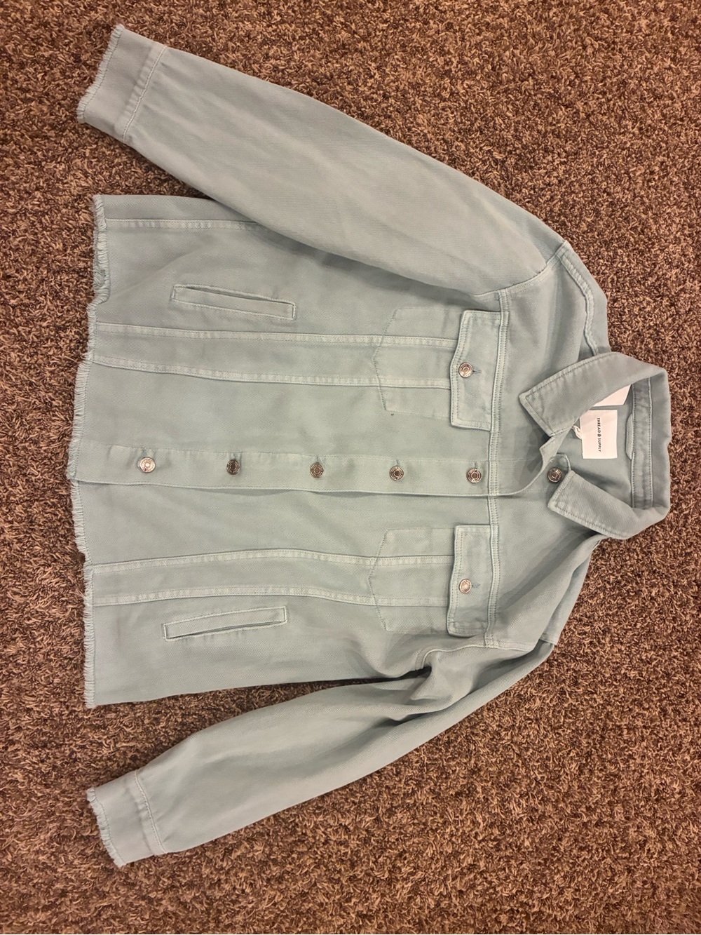 Thread & Supply Light Sage Green Denim Jacket